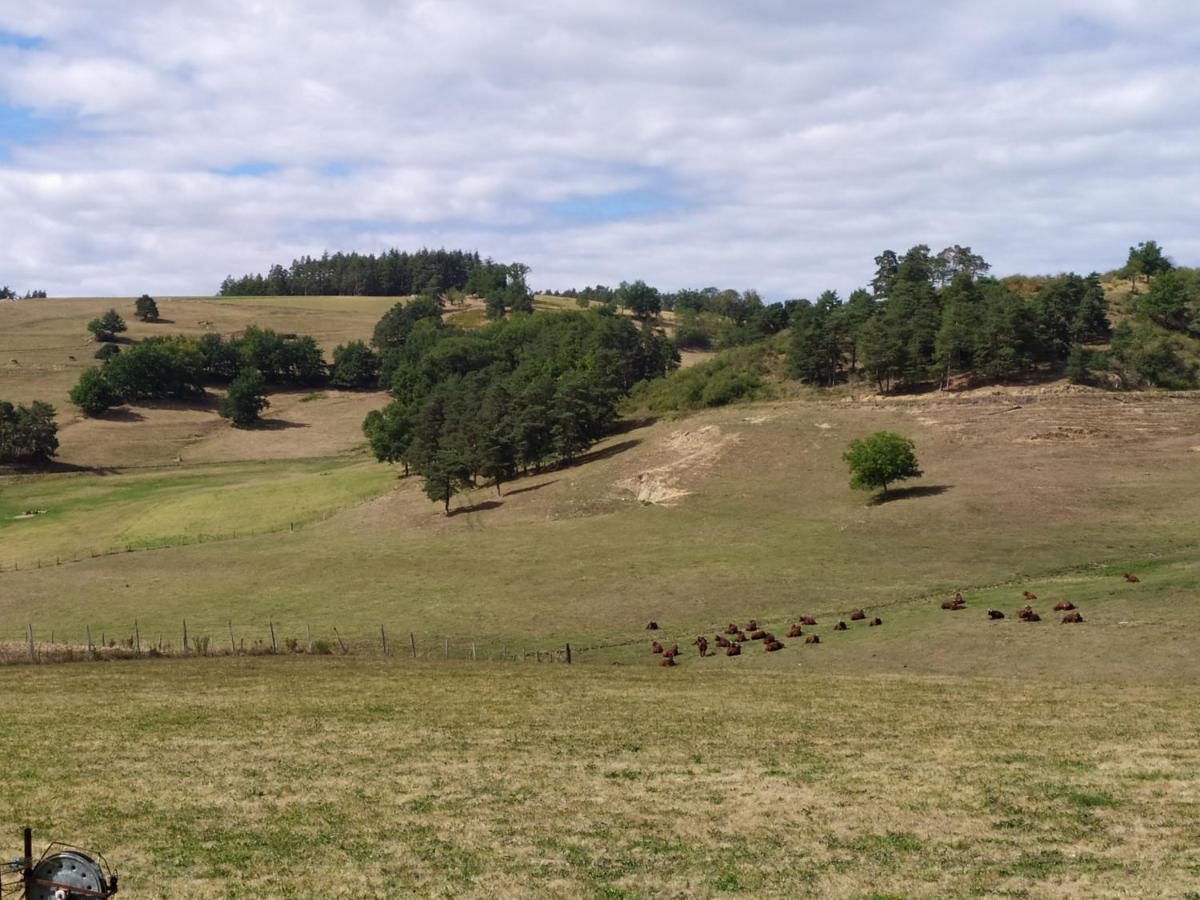 Holiday home Chez Suzon Auzon